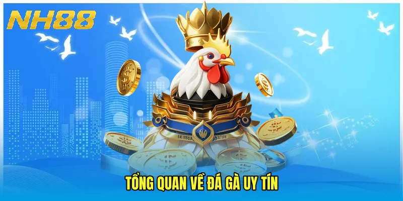 Tổng quan về đá gà uy tín